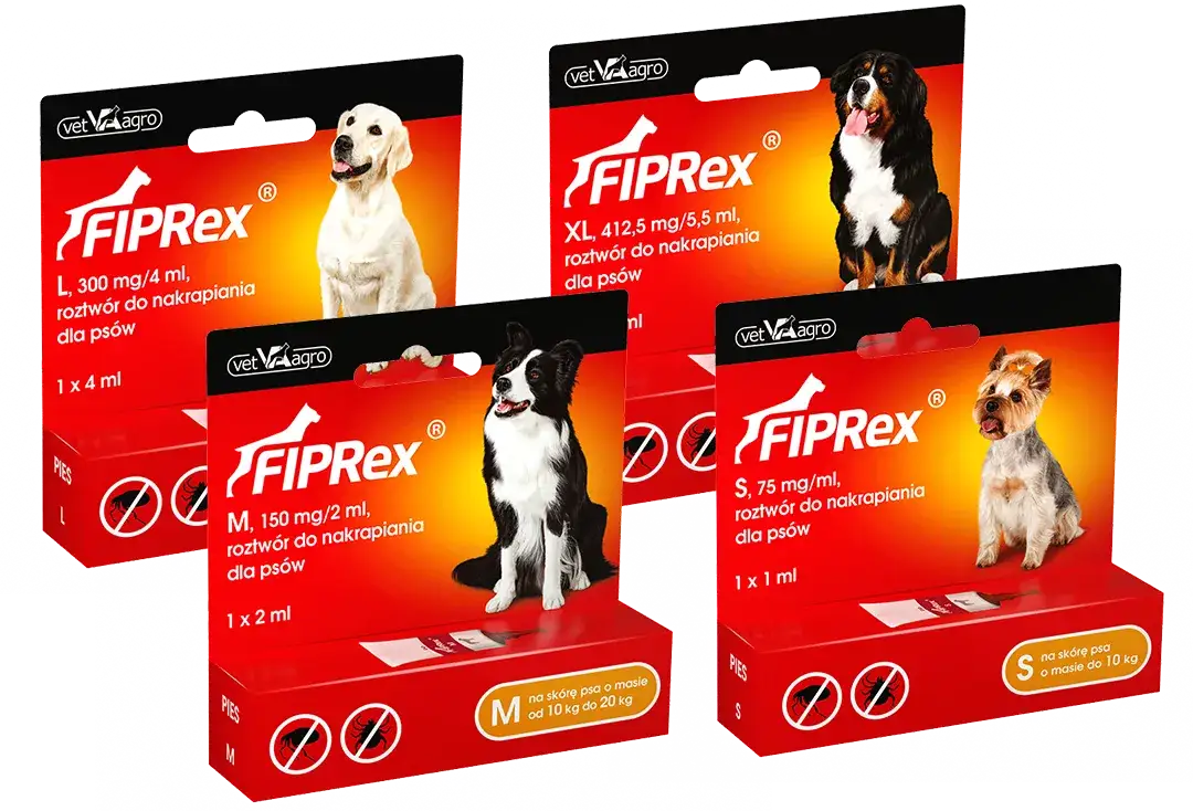 Gdzie kupić lek GS na FIP? Sprawdź legalne źródła w Polsce