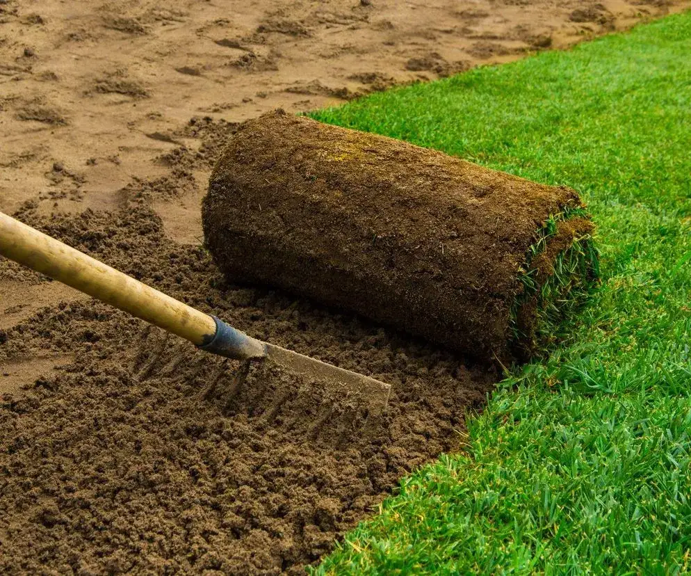 Idealne podłoże pod trawnik: przewodnik krok po kroku