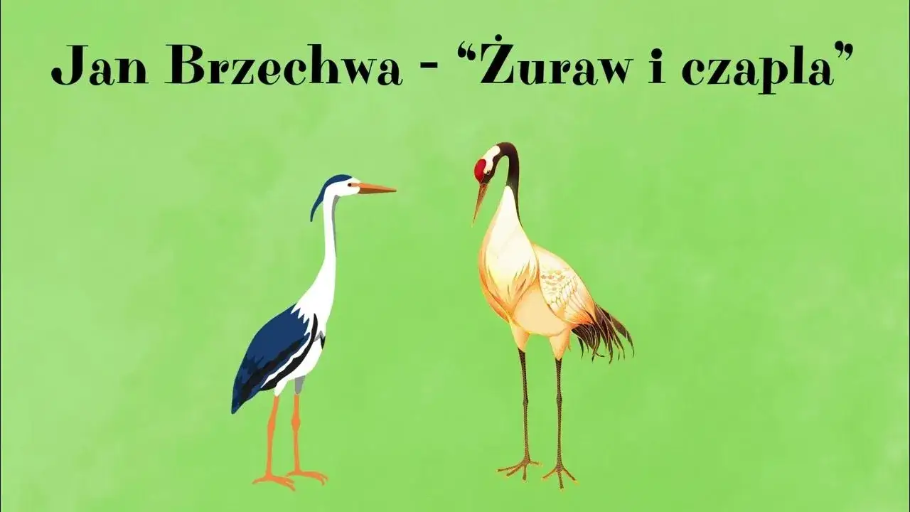 Czapla wiersz: odkryj niezwykłe utwory o czaplach w poezji polskiej