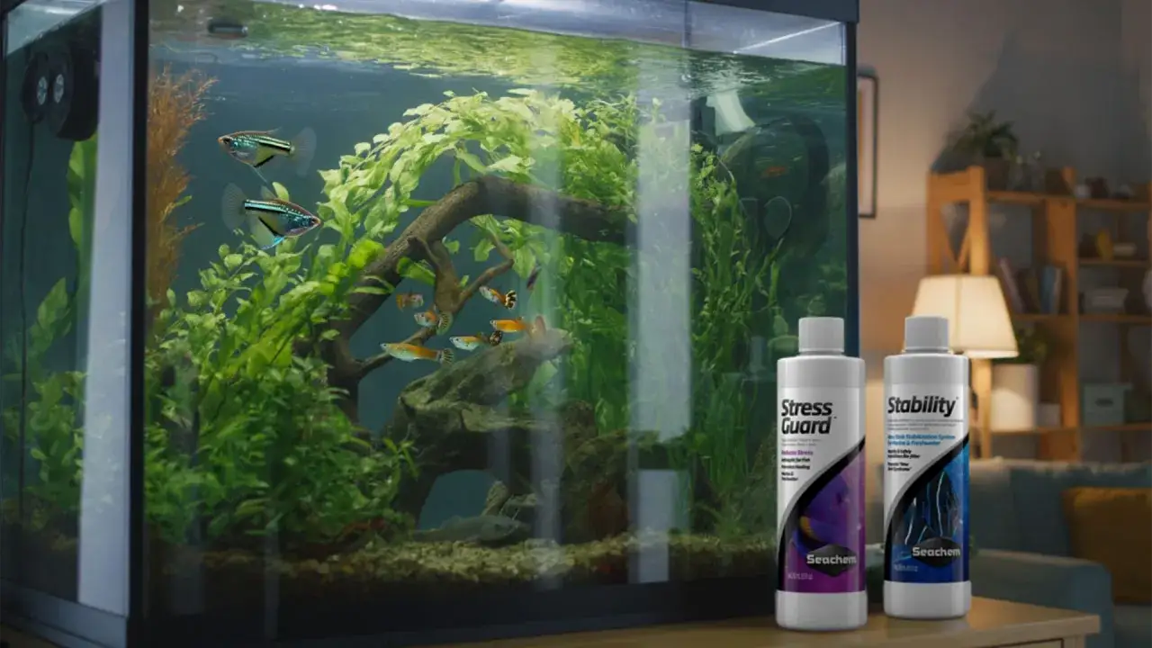 Akwarium z rybkami i roślinami, obok butelki z preparatem.