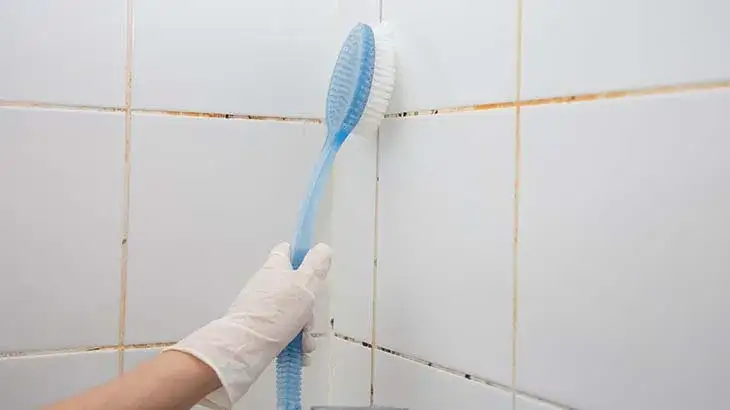 Jak usunąć czarną pleśń z łazienki i zapobiec jej powrotowi