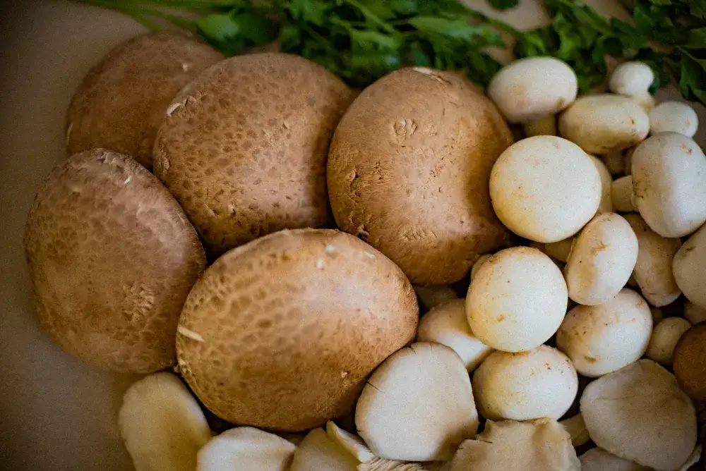 Jakie przyprawy do pieczarek i cebuli, które zmienią smak potraw?