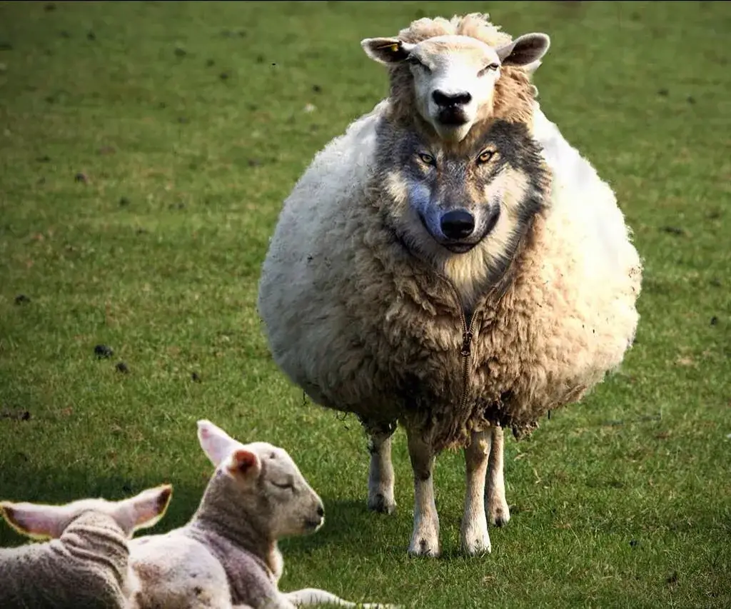 Kim jest fałszywy prorok z Apokalipsy i jakie niesie zagrożenia?