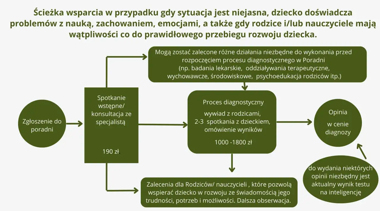Poradnia psychologiczno-pedagogiczna: Ile trwa badanie i opinia?