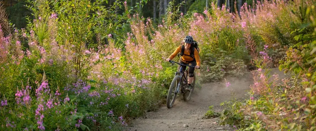 Najlepsze trasy rowerowe w Dolinie Baryczy – odkryj piękno regionu