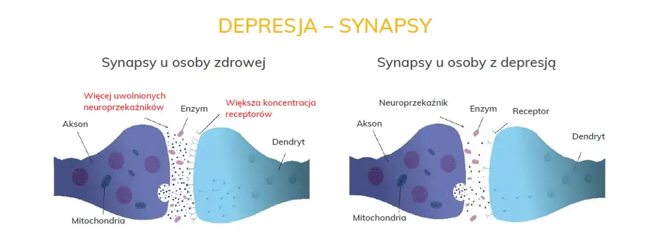 Czym jest depresja? Poznaj objawy i skutki tej trudnej choroby
