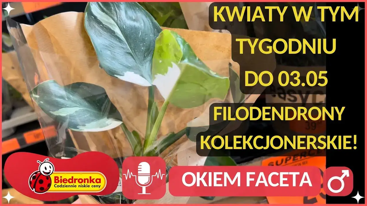 Kiedy dostawa kwiatów w Biedronce? Sprawdź, aby nie przegapić!