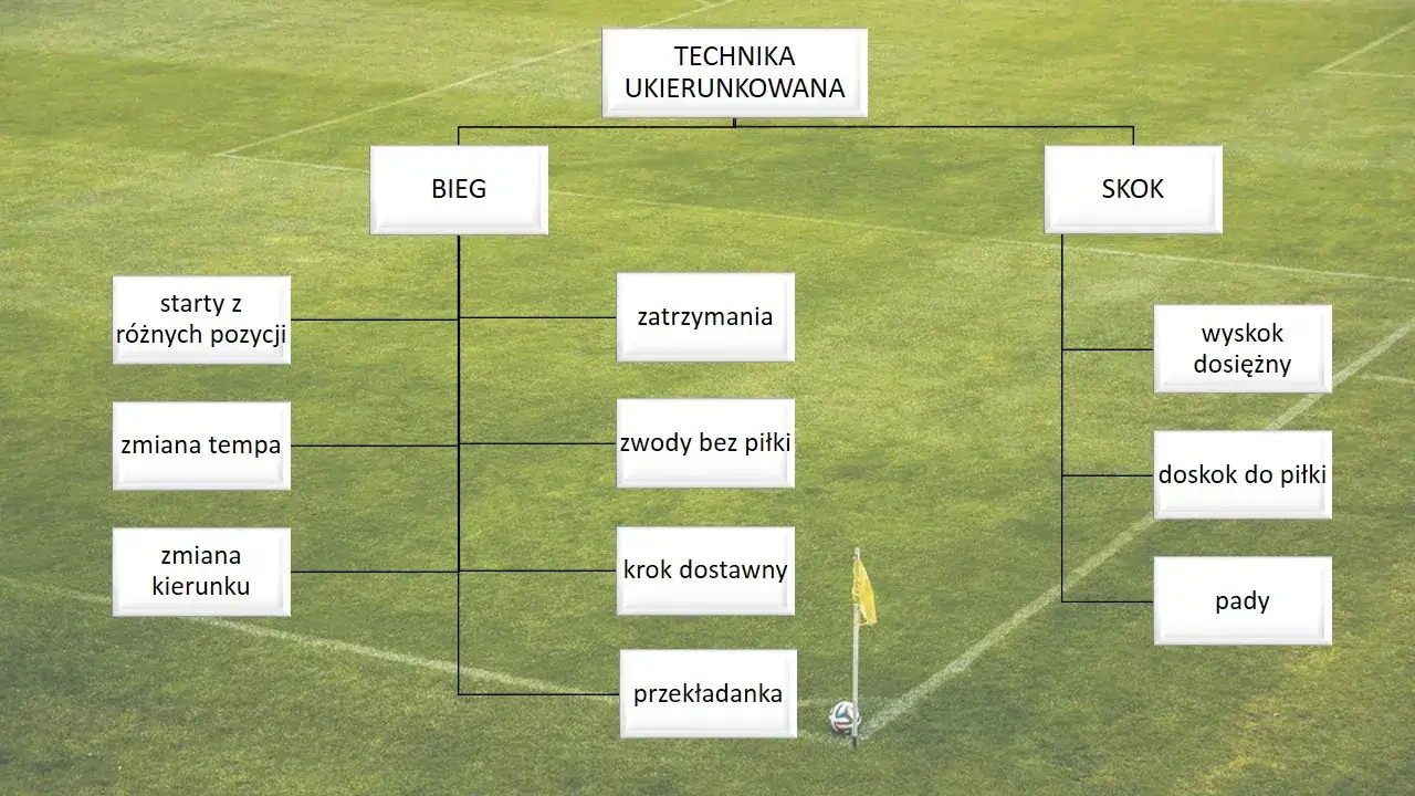 Jak się wybić w piłce nożnej? Kluczowe kroki do sukcesu zawodowego