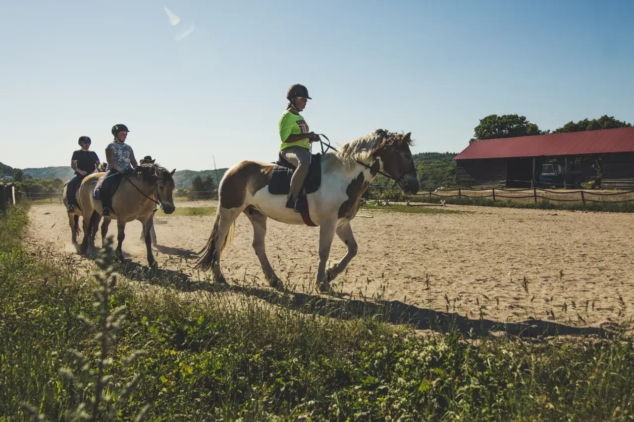 Stadnina koni Kaszuby - najlepsze miejsca na jazdę konną i relaks