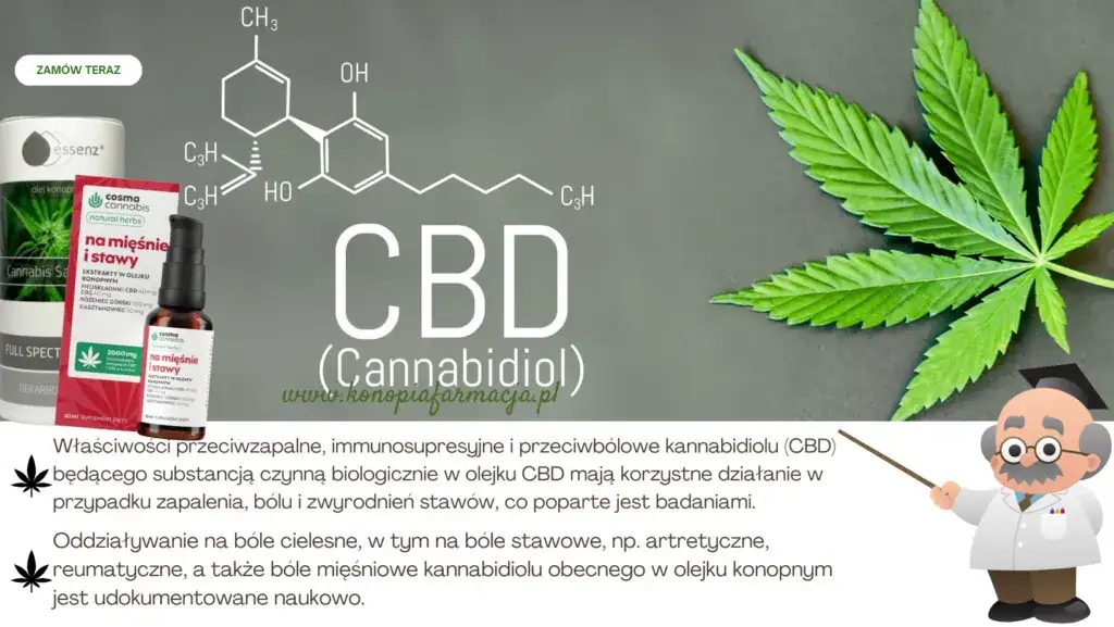 Jaki olejek na ból stawów? Naturalne sposoby na ulgę w bólu