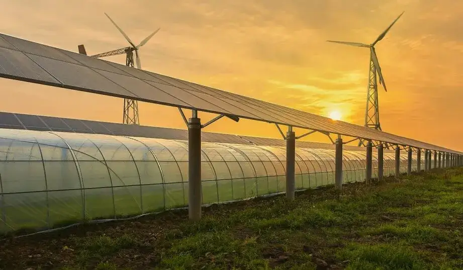 Ile kosztuje turbina wiatrowa? Ceny, opcje finansowania i dotacje