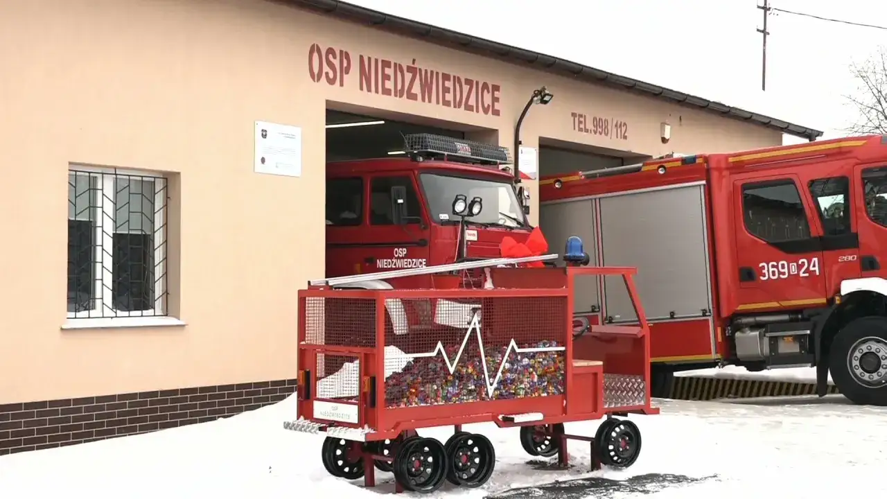 Ile kosztują nakrętki w skupie? Sprawdź ceny w Twojej okolicy