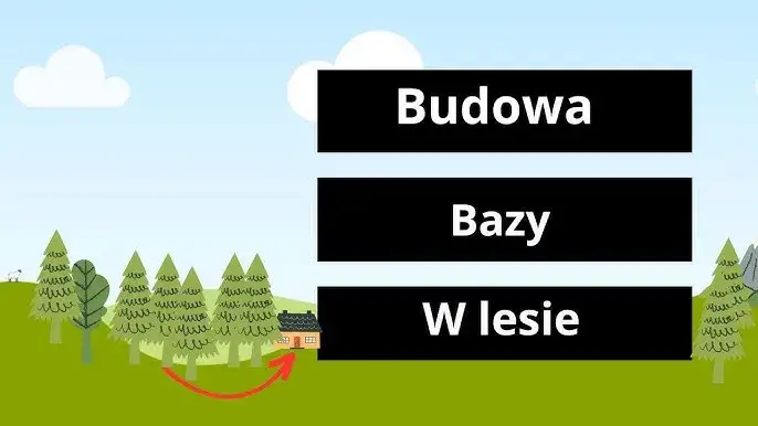 Jak zrobić bazę w lesie? Legalny poradnik krok po kroku