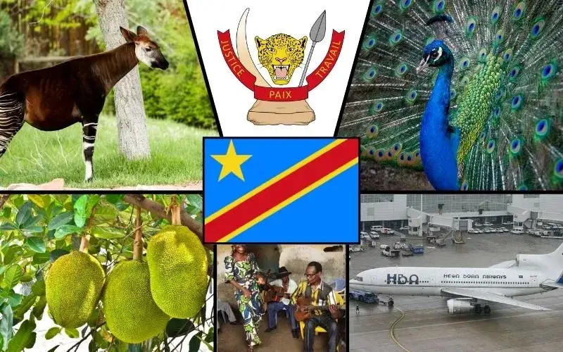 Flaga Konga: Jak odróżnić DRK od Republiki? Przewodnik po symbolice