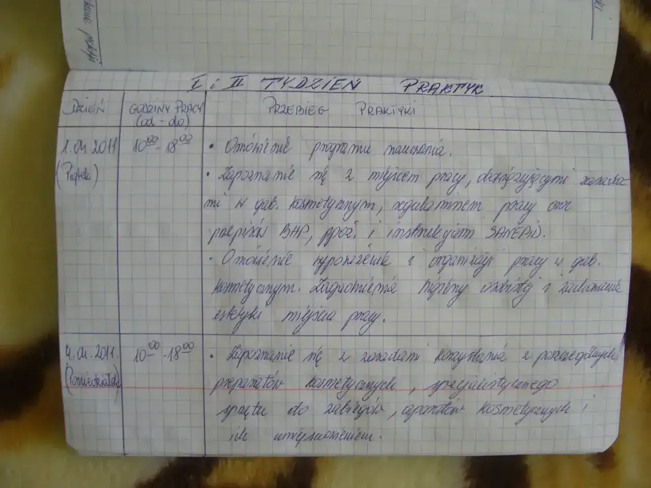 Jak wypełnić dziennik praktyki zawodowej - uniknij najczęstszych błędów