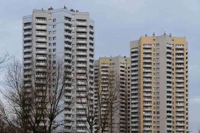 Osiedle Gwiazdy Katowice – ile pięter mają te imponujące budynki?