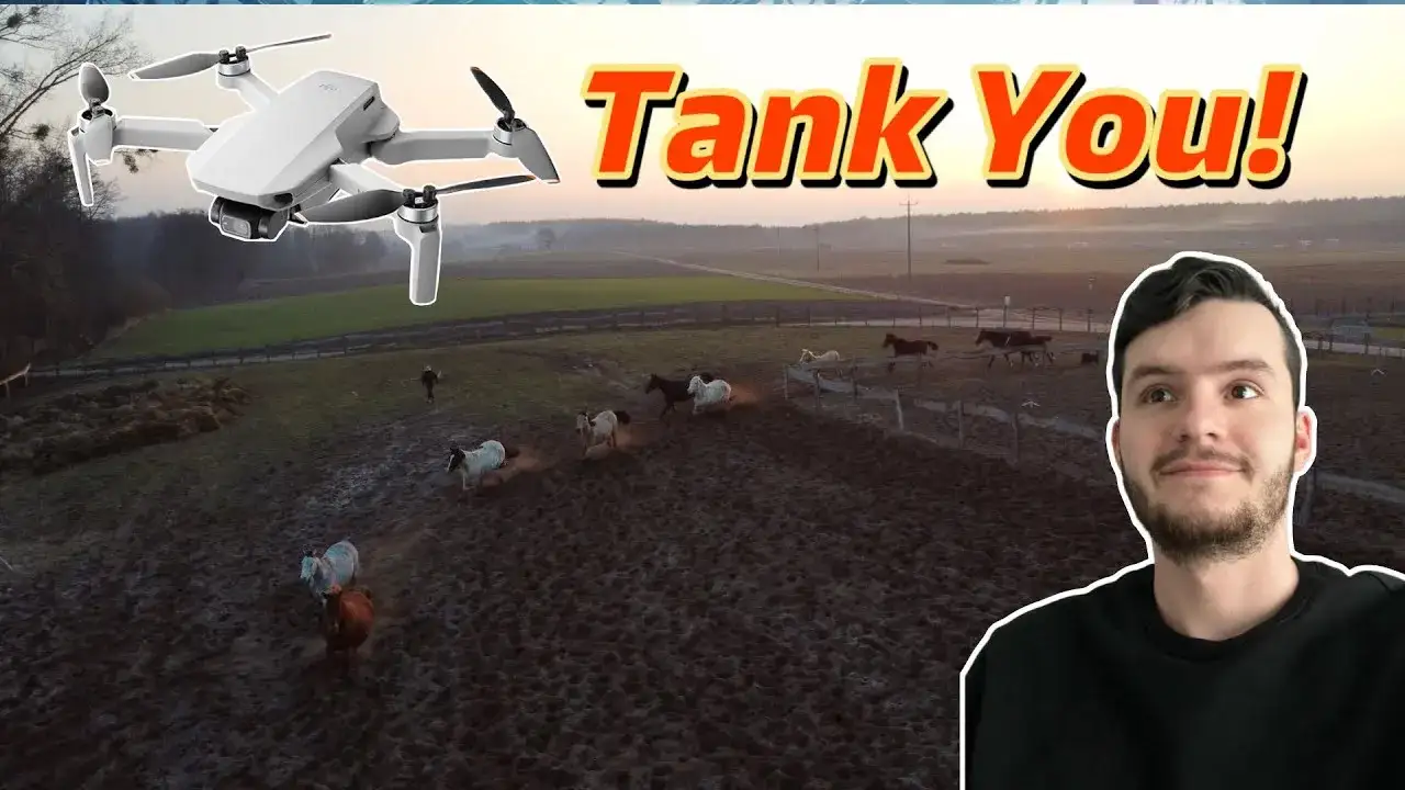 Stadnina koni RB: Odkryj magiczne miejsce dla miłośników koni