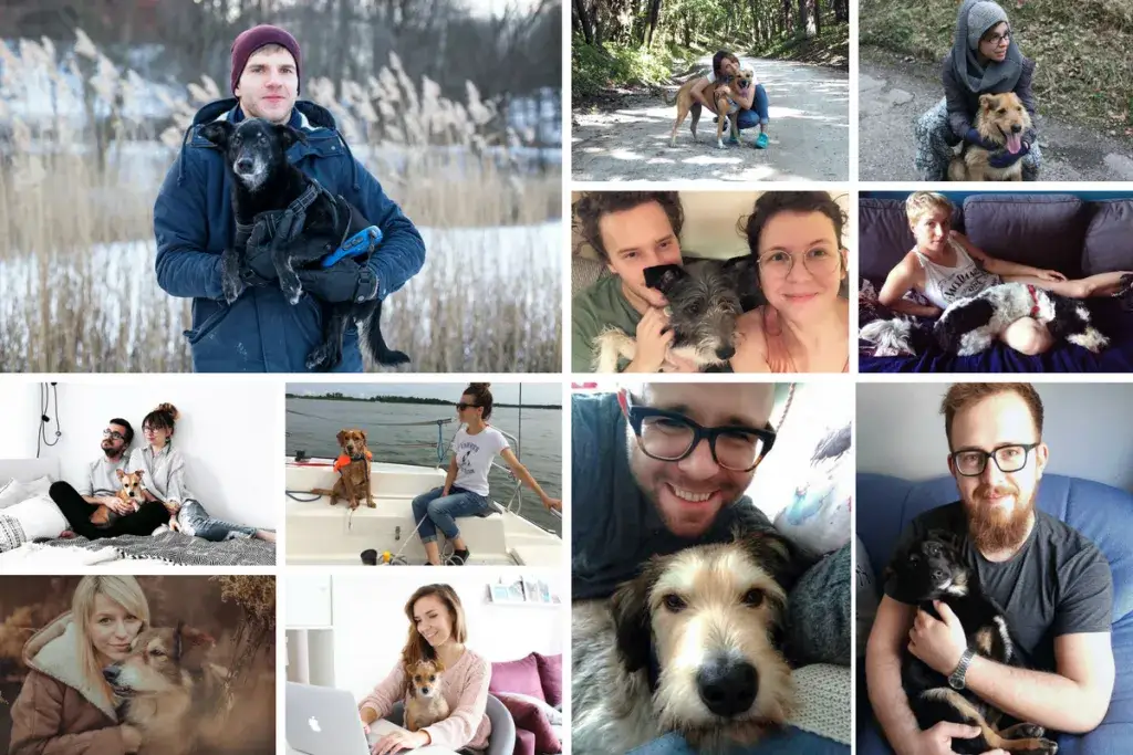 Wiersze na pożegnanie psa – emocjonalne słowa na trudny moment