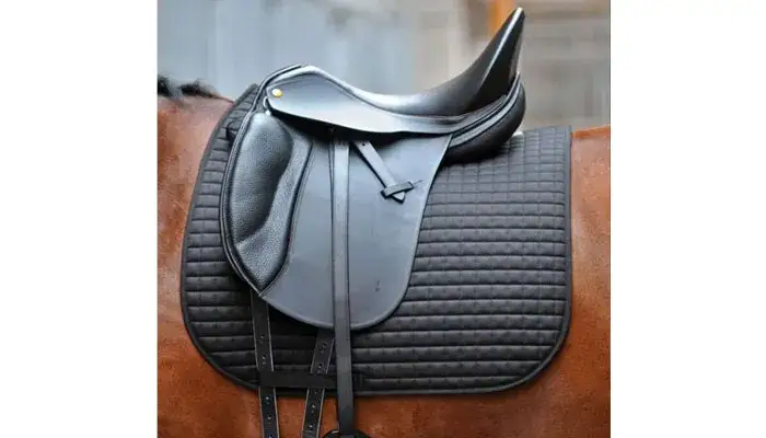 Siodło: Ile kosztuje i jak nie przepłacić? Przewodnik eksperta.