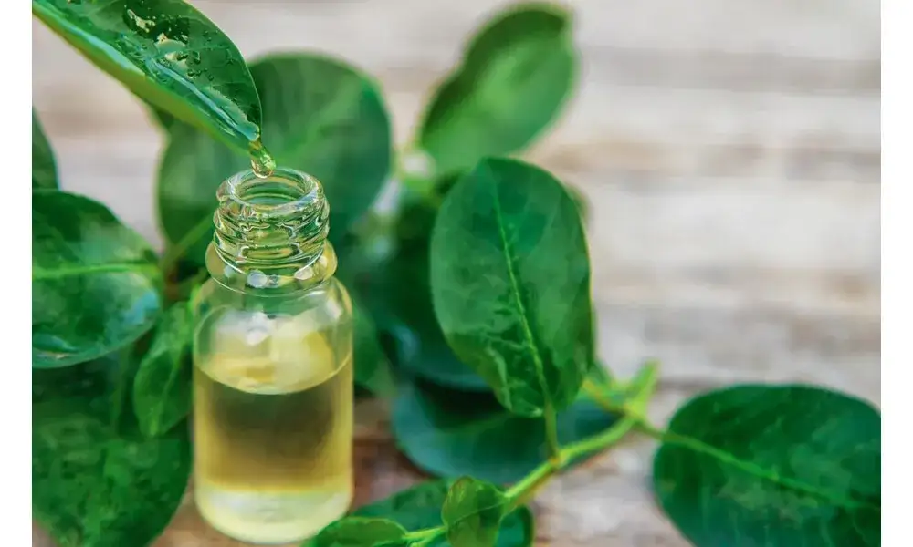 Olejek z drzewa herbacianego: Bezpieczne stosowanie na infekcje intymne