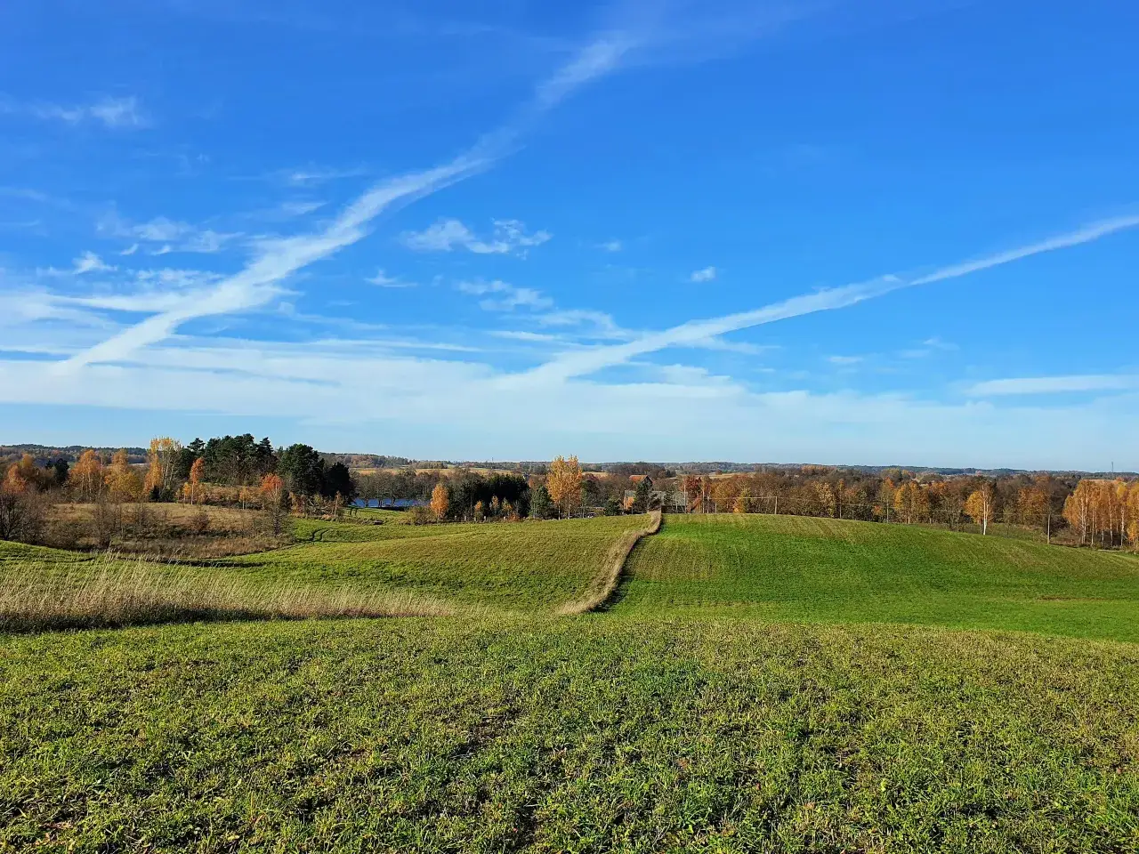 Ile można zarobić na hektarze ziemi? Kluczowe czynniki wpływające na dochody