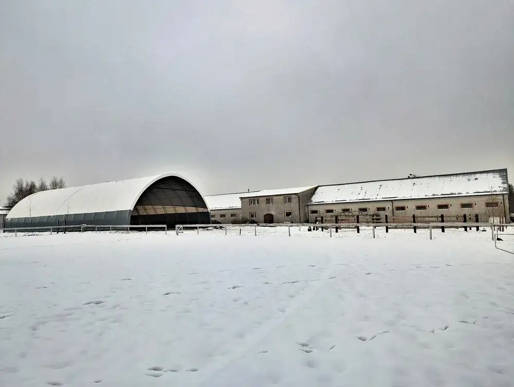 Stadnina koni Hestia w Radomiu - najlepsze miejsce na jazdę konną