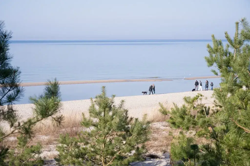 Dlaczego nad morzem nie ma komarów? Odkryj tajemnice ich braku