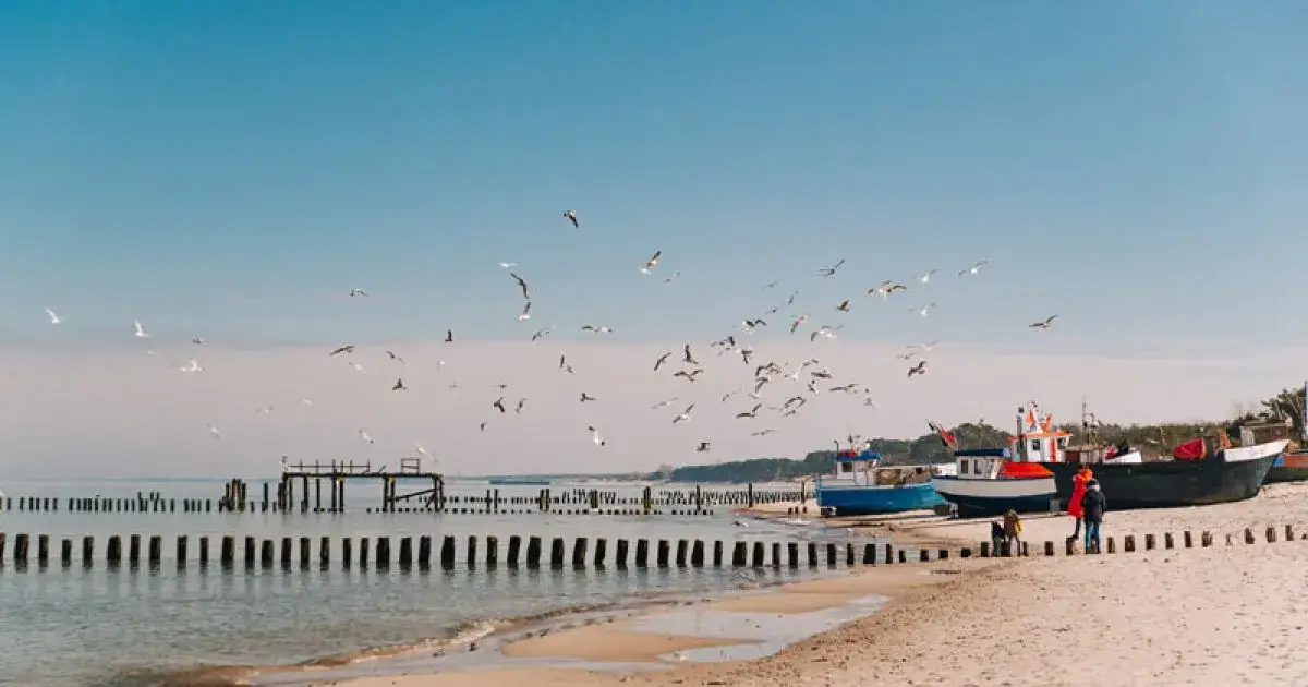 Atrakcje okolic Szczecina, które musisz zobaczyć – nie przegap ich!