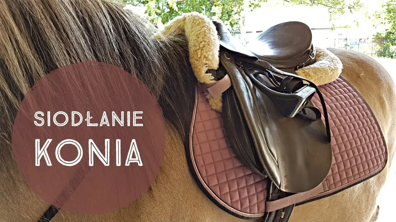 Jak osiodłać konia - uniknij najczęstszych błędów i zyskaj pewność