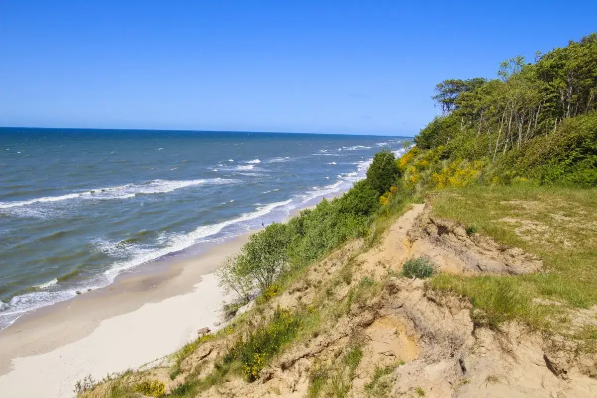 Najlepsze atrakcje w Dębinie, które musisz zobaczyć w tej wiosce