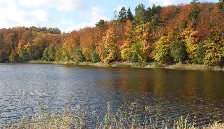 Jezioro Otomińskie: tajemnice, atrakcje i piękno natury w Polsce
