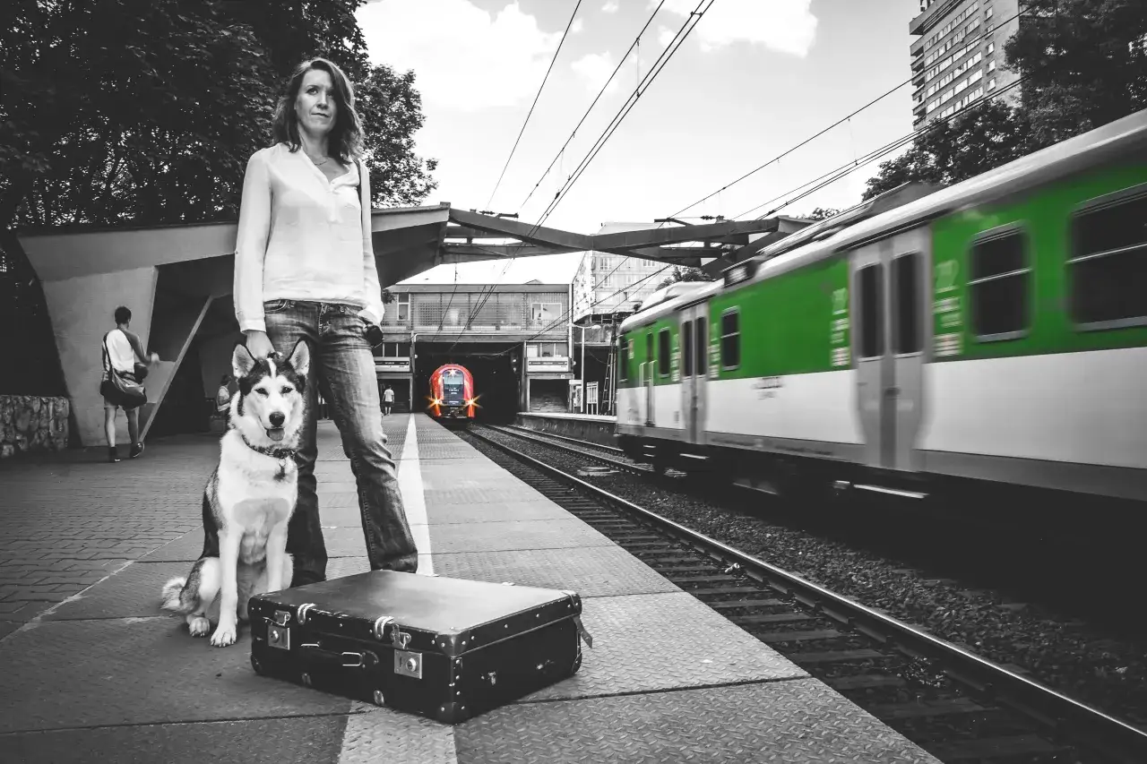Pies w pociągu: Ile kosztuje bilet i jakie są zasady?