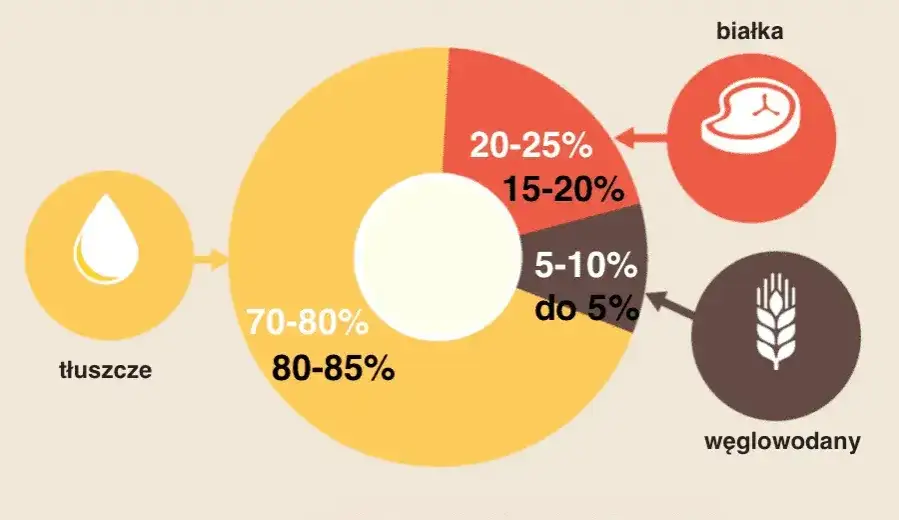 Jakie proporcje makro na redukcji? Osiągnij wymarzoną sylwetkę