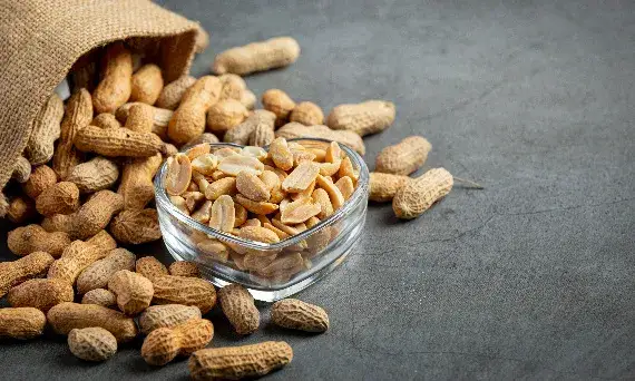 Czy pies może jeść fistaszki? Sprawdź, co musisz wiedzieć o bezpieczeństwie