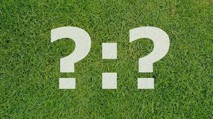 Ile punktów za remis w piłce nożnej? Zaskakujące fakty o punktacji!