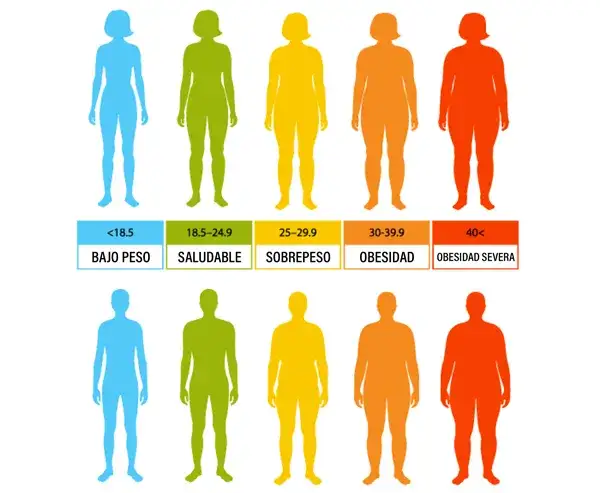 Masa muscular ideal en kg: ¿Estás por debajo de lo saludable?