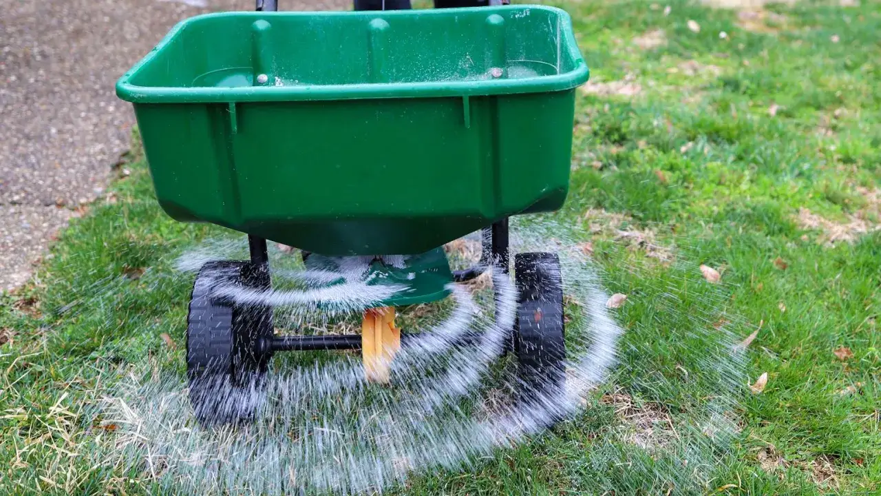 Wapnowanie gleby: Jak odmienić ogród i pozbyć się mchu?