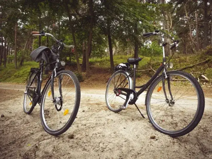 Trasy rowerowe Płock: Odkryj najlepsze szlaki i ich tajemnice