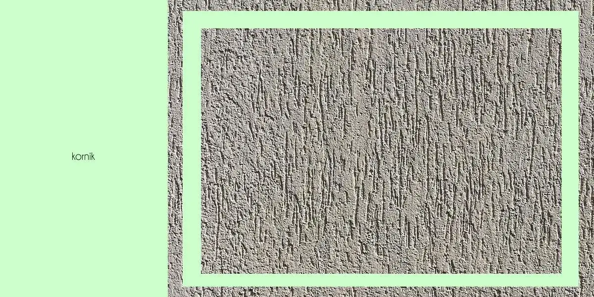 Elewacja baranek czy kornik - który tynk jest lepszy dla twojego domu?