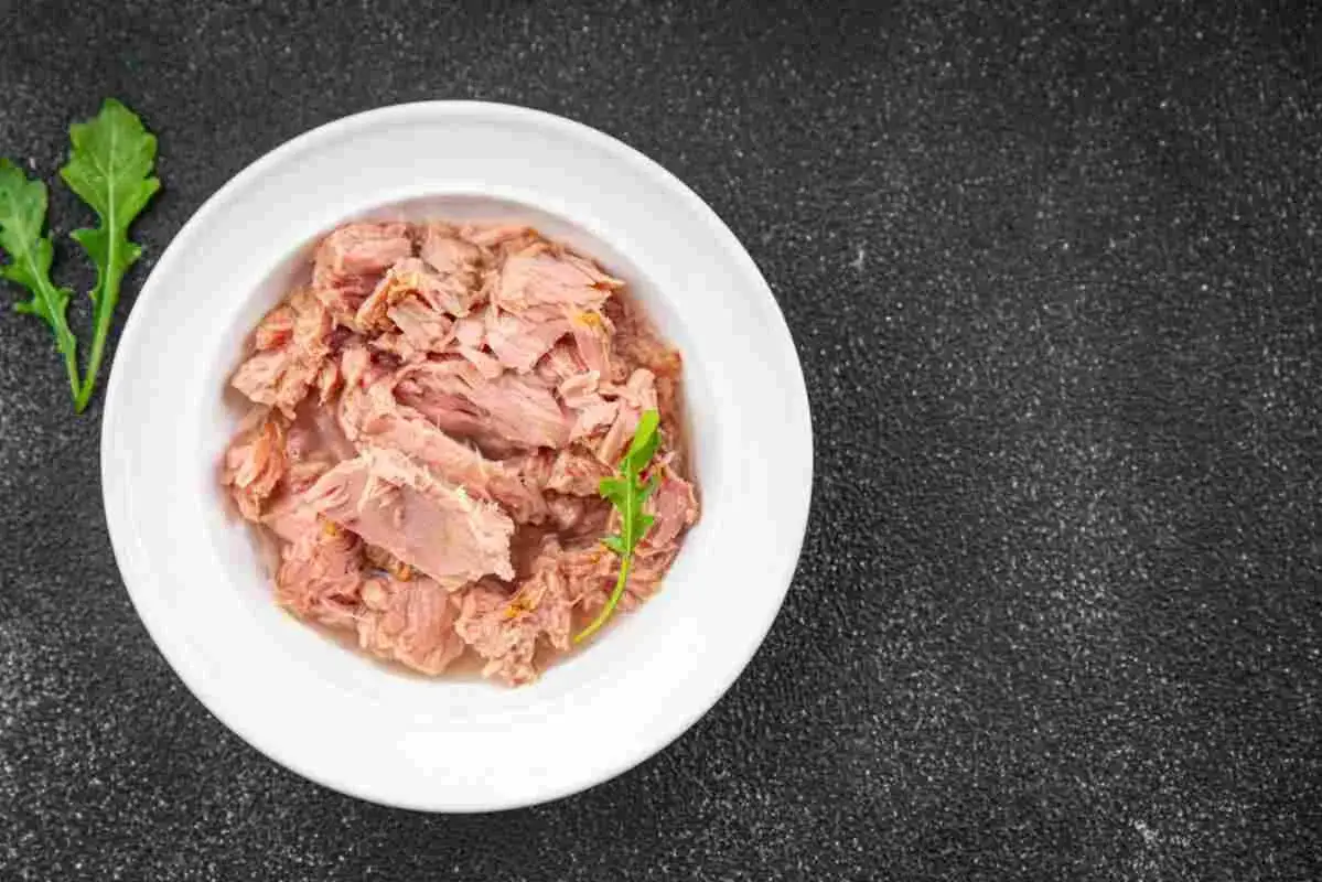 Czy pies może jeść tuńczyka z puszki? Sprawdź, co musisz wiedzieć