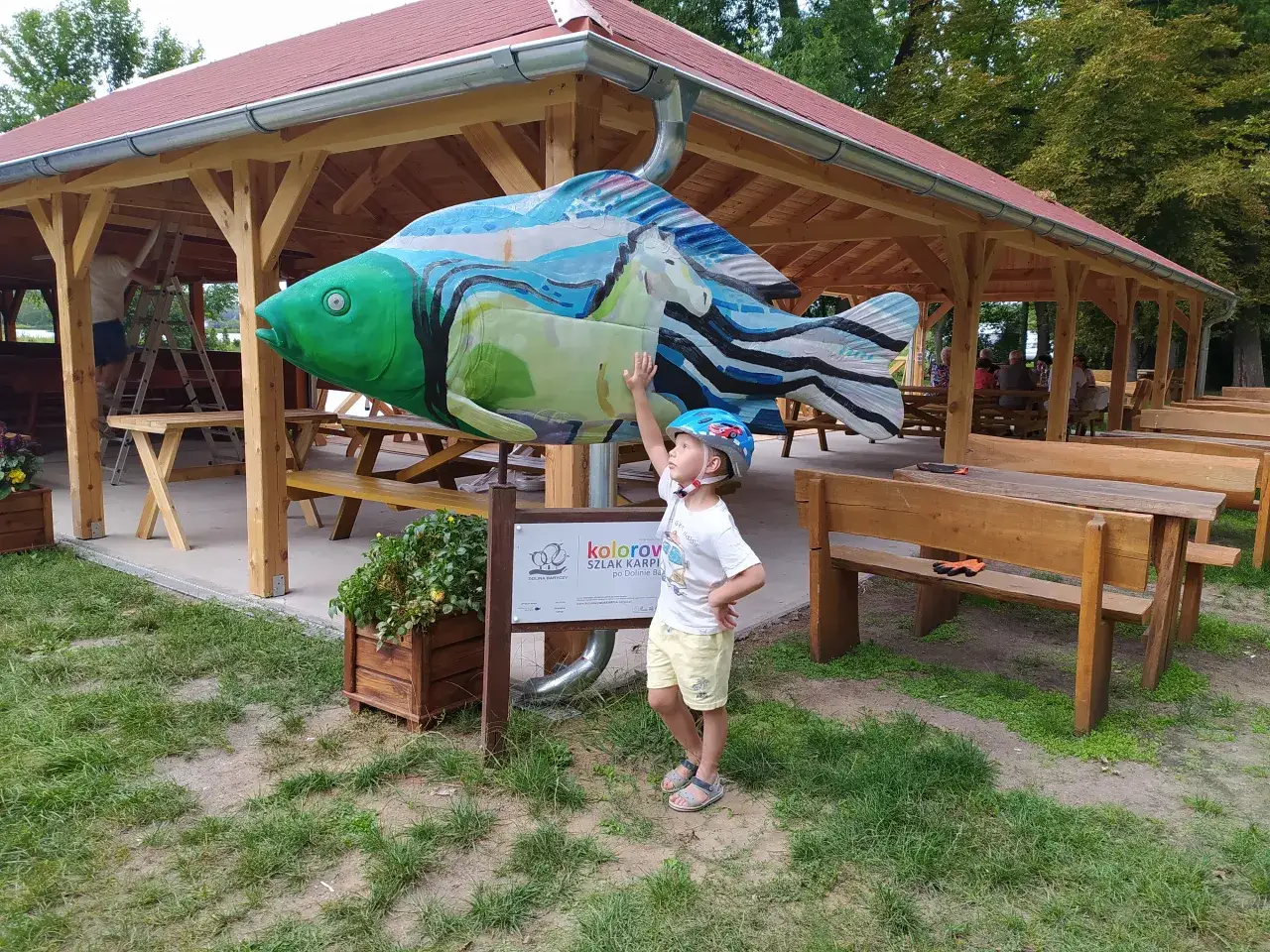 Gdzie zjeść w Dolinie Baryczy? Karp milicki i lokalne perły