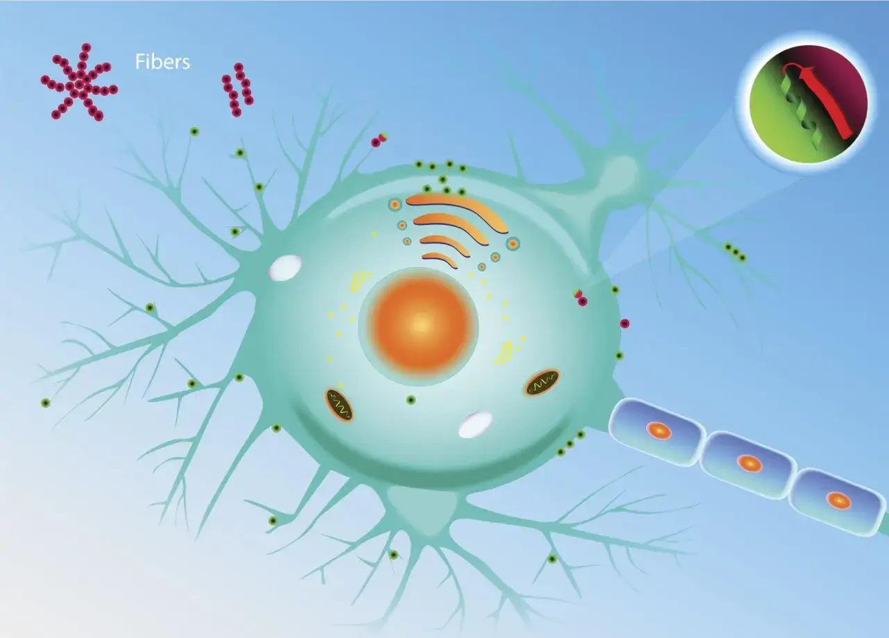 GSA: Co to za choroba? Zespół Gerstmanna-Sträusslera-Scheinkera