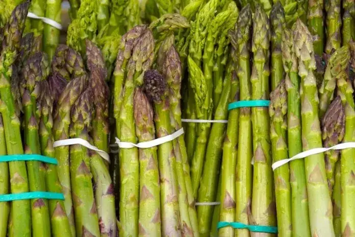 Koniec sezonu na szparagi w Polsce? Kluczowa data i porady!