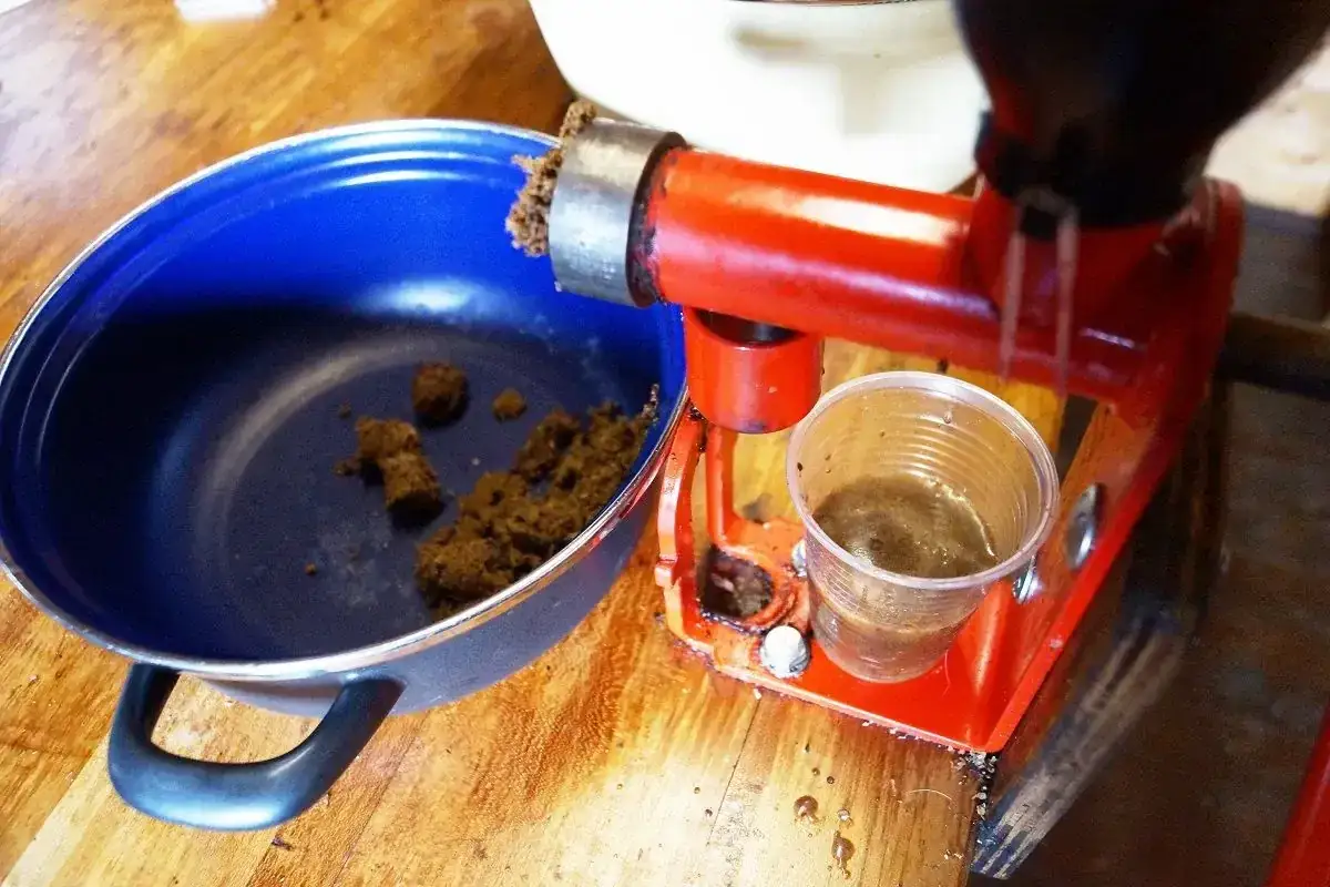 Domowa oliwa z oliwek: Czy to możliwe? Praktyczny poradnik krok po kroku