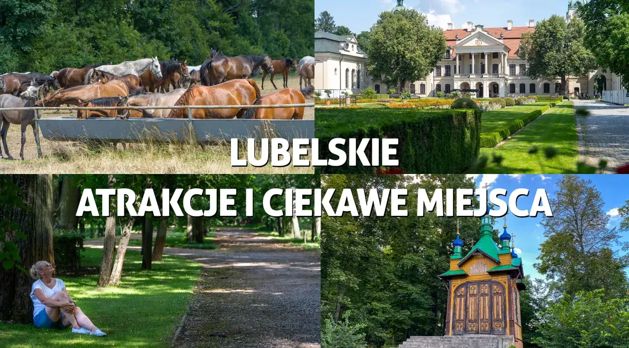 Najlepsze atrakcje w województwie lubelskim, które musisz zobaczyć