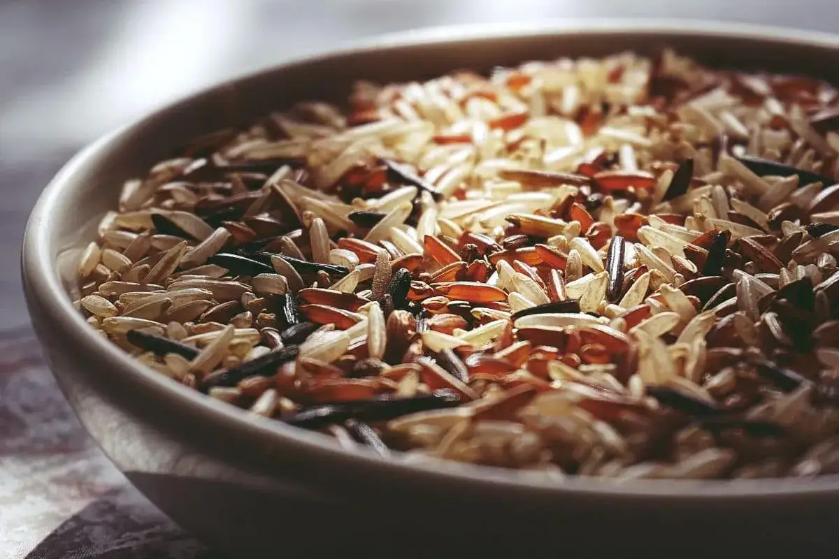 Ile kalorii ma ryż? Wybierz idealny dla Twojej diety!