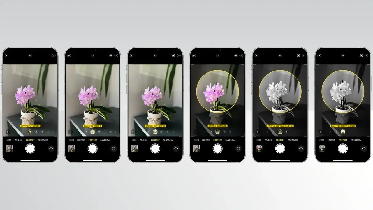 Seria zdjęć iPhone: Jak zobaczyć i wybrać idealny kadr?