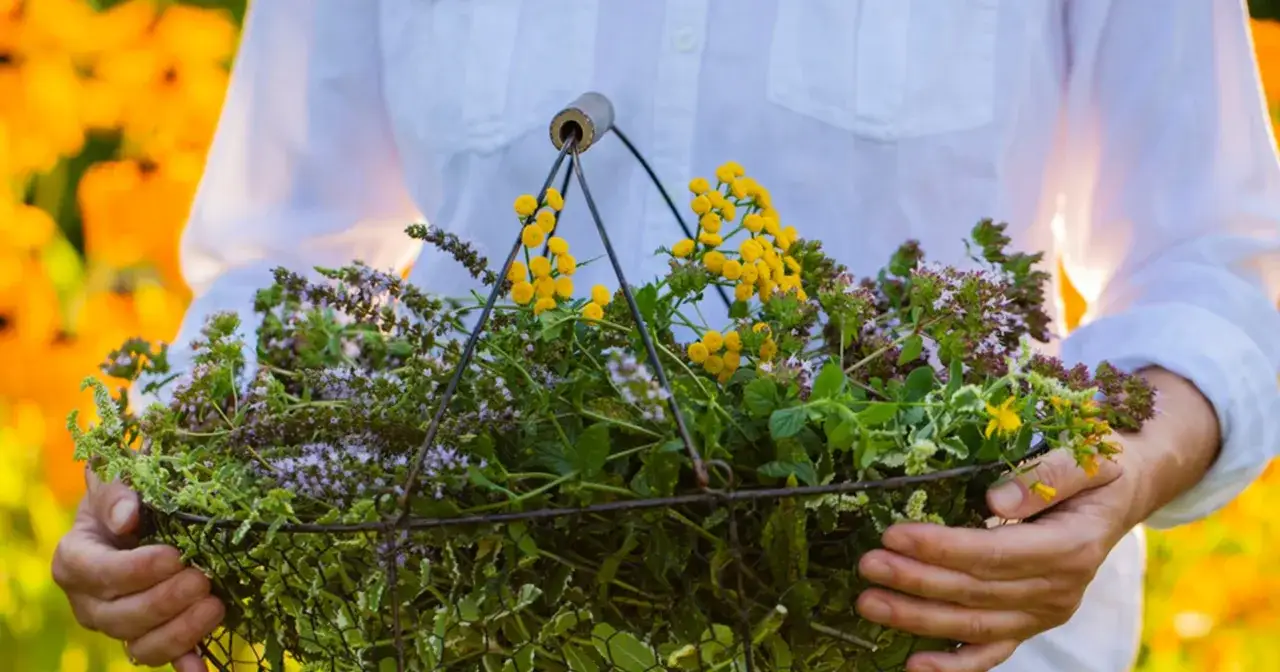 Kosmetyki z Niemiec, które naprawdę warto kupić dla zdrowej skóry