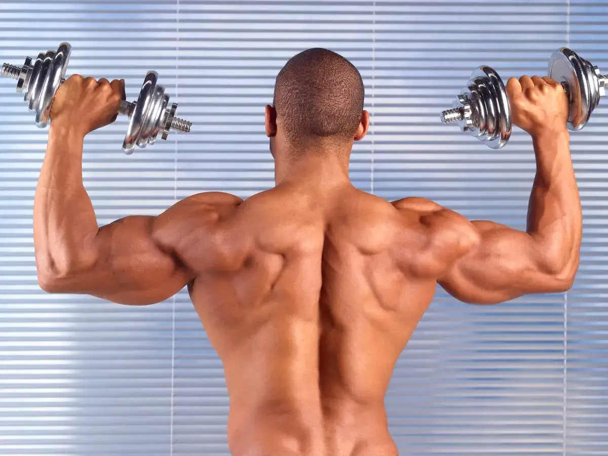 Trapecios: Ejercicios clave, técnica perfecta y desarrollo total