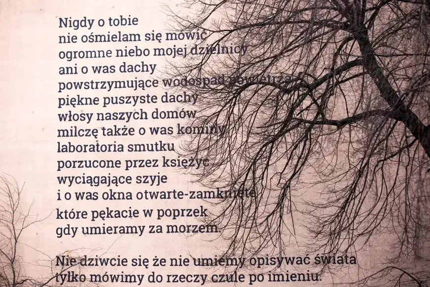 Długi wiersz - odkryj emocje i znaczenie w polskiej poezji